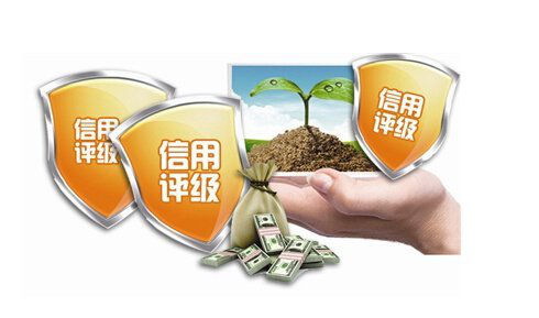 项目管理