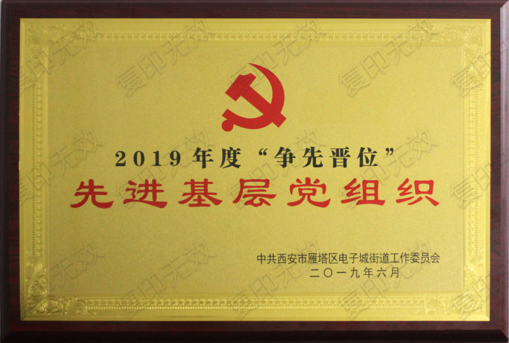 “2019年度争先晋位”先进基层党组织